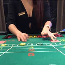 Interface example showing focused reading and comparison before choices on 277bet